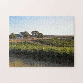 Quebra-cabeça Quebra-cabeça: O Penman salta vinhedo em Paso