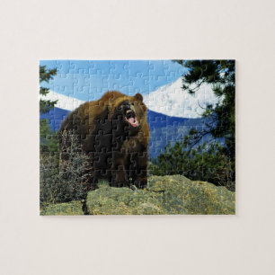 Quebra-cabeça Quebra-cabeça-Urso dos animais selvagens