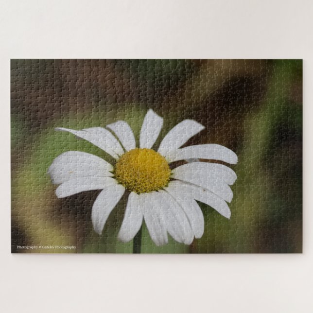 Quebra-cabeça Quiet Bloom – Great Smoky Mountains Daisy (Horizontal)