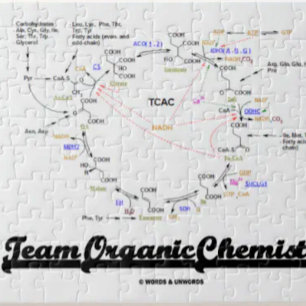 Quebra-cabeça Química orgânica da equipe (ciclo de Krebs TCAC)