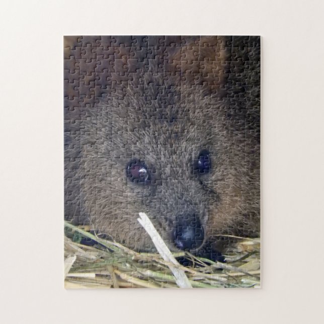 Quebra-cabeça Quokka (Vertical)