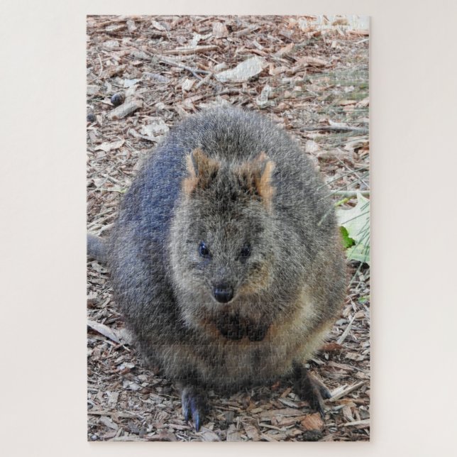 Quebra-cabeça Quokka (Vertical)
