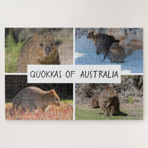 Quebra-cabeça Quokka 4 em 1 da Austrália Animal, 1014 peças