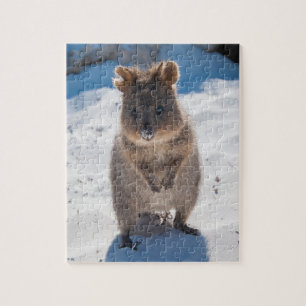 Quebra-cabeça Quokka bonitinho e feliz na praia da Austrália