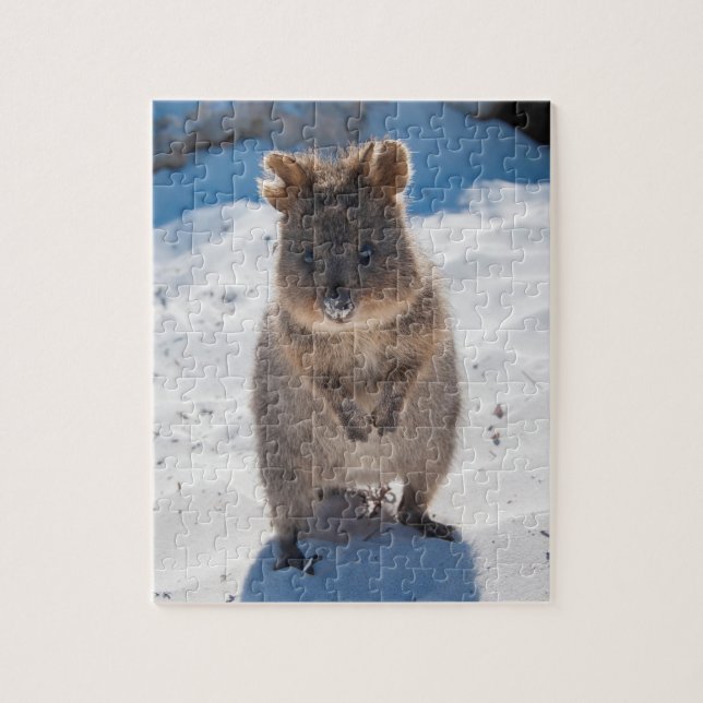 Quebra-cabeça Quokka bonitinho e feliz na praia da Austrália (Vertical)