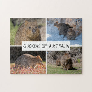 Quebra-cabeça Quokka da Austrália, 252 peças