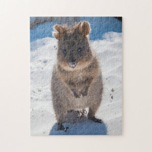 Quebra-cabeça Quokka na praia, 252 pedaços