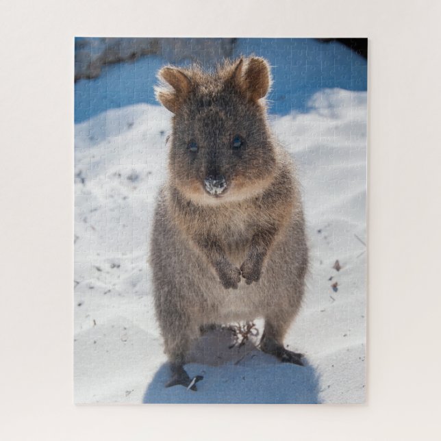 Quebra-cabeça Quokka na praia, 520 pedaços (Vertical)