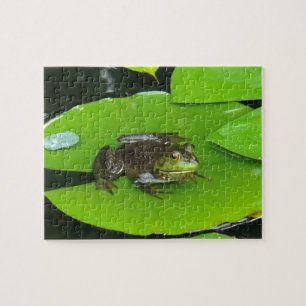 Quebra-cabeça Rã-grande em Lilypads