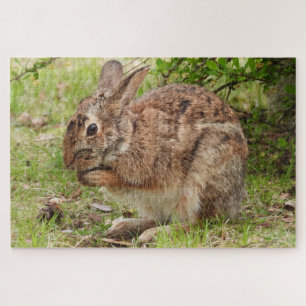 Quebra-cabeça Rabbit de coelho selvagem castanho