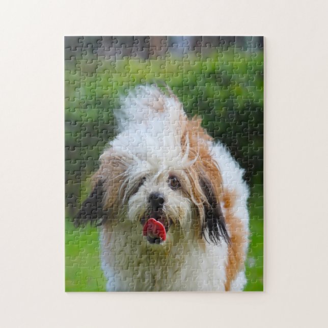 Quebra-cabeça Raça de Cão Lhasa Apso. (Vertical)