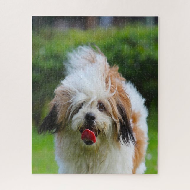 Quebra-cabeça Raça de Cão Lhasa Apso. (Vertical)