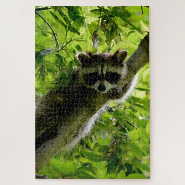 Quebra-cabeça Raccoon em cinza de Árvore Verde (Vertical)