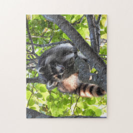 Quebra-cabeça Raccoon numa árvore