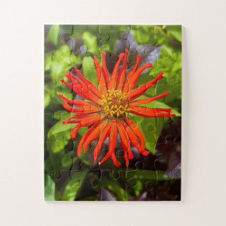 Quebra-cabeça Radiant Orange Zinnia | Floral Tribute to Alzheime