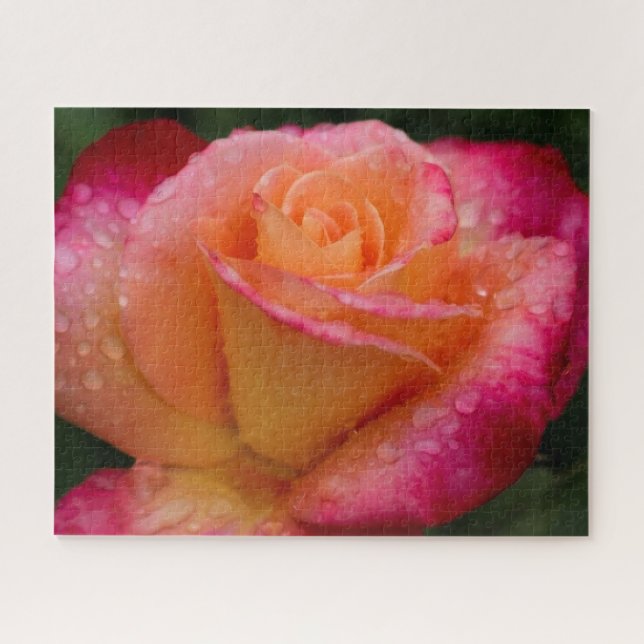 Quebra-cabeça Raindrops No duro Rosa 16x20 (Horizontal)