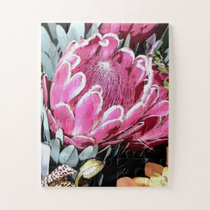 Quebra-cabeça Rainha rosa Protea, Austrália, floral nativo n.o
