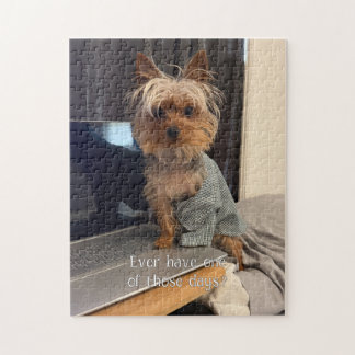 Quebra-cabeça Ralphie o Yorkshire de Xícara Um Dia daqueles