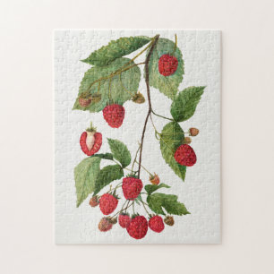 Quebra-cabeça Ramificação da pintura de Fruta de Blackberry