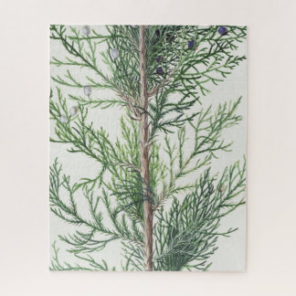 Quebra-cabeça Ramificação de Árvore Impossível