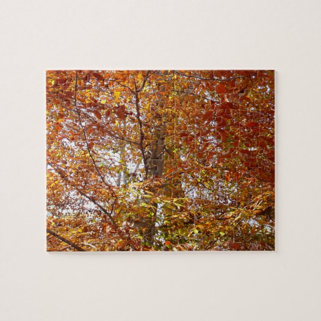 Quebra-cabeça Ramos de Folhas Laranja Outono Natureza (Horizontal)