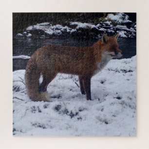 Quebra-cabeça Raposa Vermelha Deslumbrante na Neve Vida Selvagem