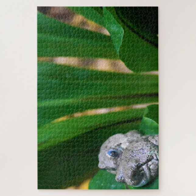 Quebra-cabeça Rãs Tropicais. (Vertical)