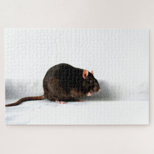 Quebra-cabeça Rat 20x30 1014pc jpcn