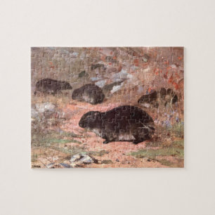 Quebra-cabeça Ratos Dassie por CE Swan, Roedor Animal Selvagem V