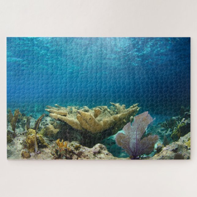 Quebra-cabeça Recife de coral suave 20"x30" (Horizontal)