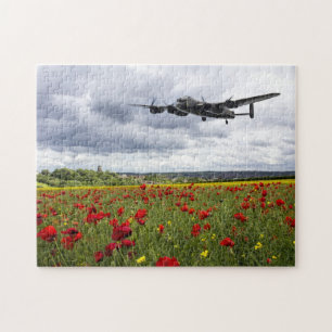 Quebra-cabeça Recorde