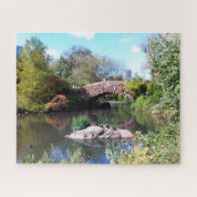 Recurso Hídrico Central Park Nova York