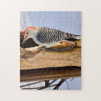 Quebra-cabeça Red-Bellied Woodpecker Jigsaw Puzzle