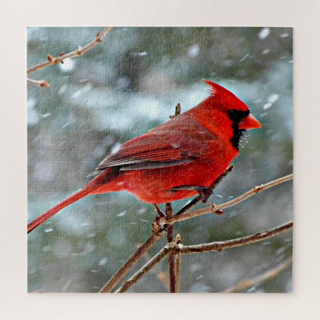 Quebra-cabeça Red Cardinal in the Snow (Vertical)