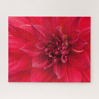 Quebra-cabeça Red Dahlia Flower