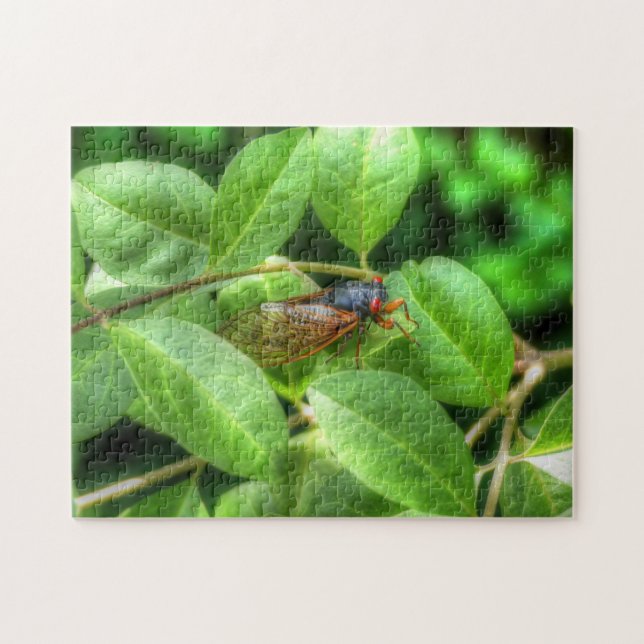 Quebra-cabeça Red Eyed Cicada (Horizontal)