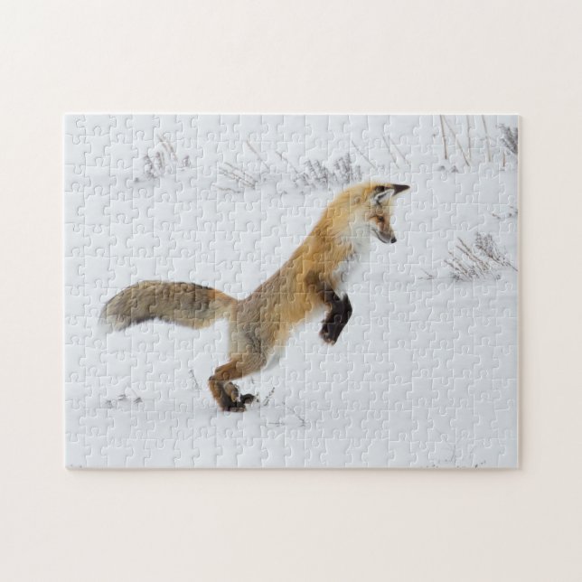 Quebra-cabeça Red Fox Leaps in Snow (Horizontal)