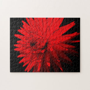 Quebra-cabeça Red Hot Dahlia Flower Abstrato Art