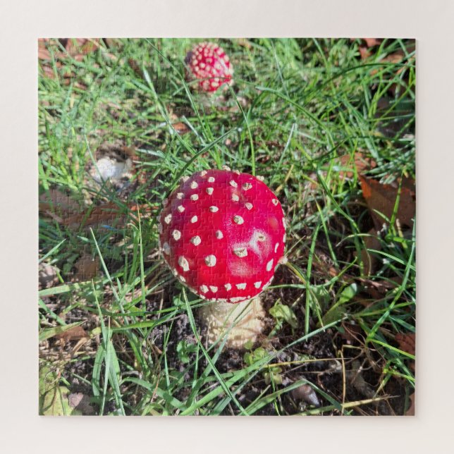 Quebra-cabeça Red mushroom  (Vertical)