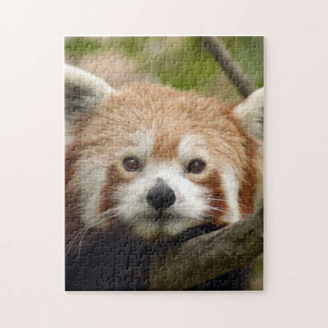 Quebra-cabeça red-panda-010 (Vertical)