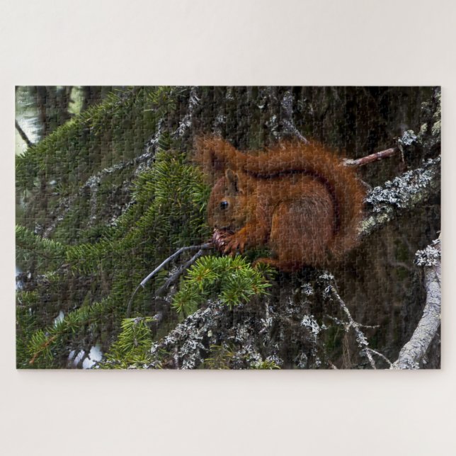 Quebra-cabeça Red Squirrel (Horizontal)