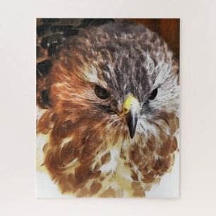 QUEBRA-CABEÇA RED TAILED HAWK