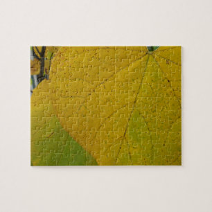 Quebra-cabeça Redbud Amarelo deixa fotografia do outono