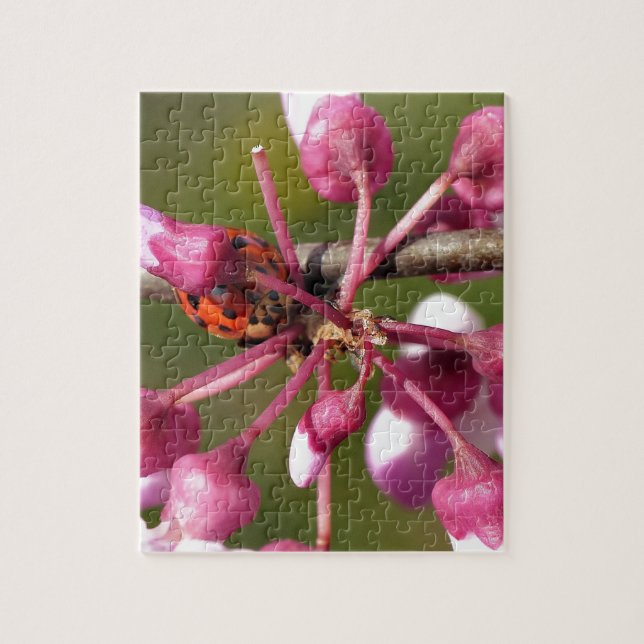Quebra-cabeça Redbud florescente com Ladybug (Vertical)