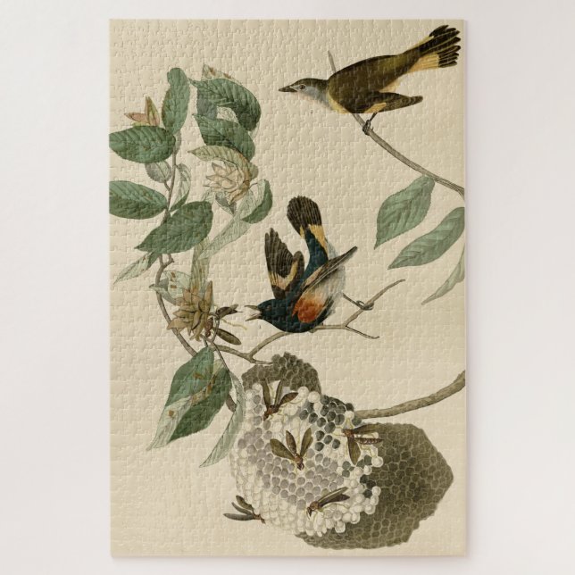 Quebra-cabeça Redstart Americano das Aves da América de Audubon (Vertical)