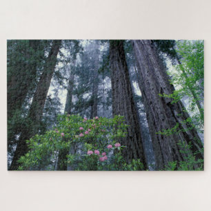 Quebra-cabeça Redwoods da Costa e Rhododendrons