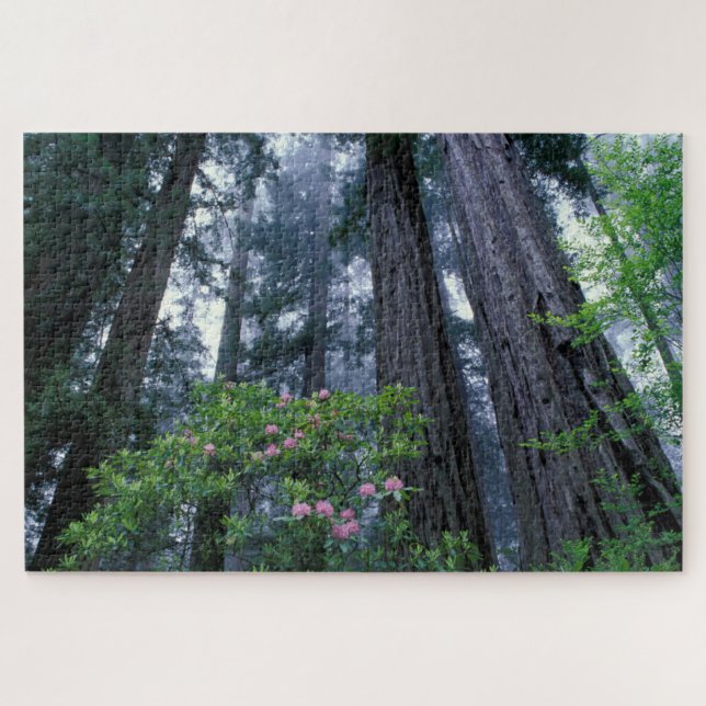 Quebra-cabeça Redwoods da Costa e Rhododendrons (Horizontal)