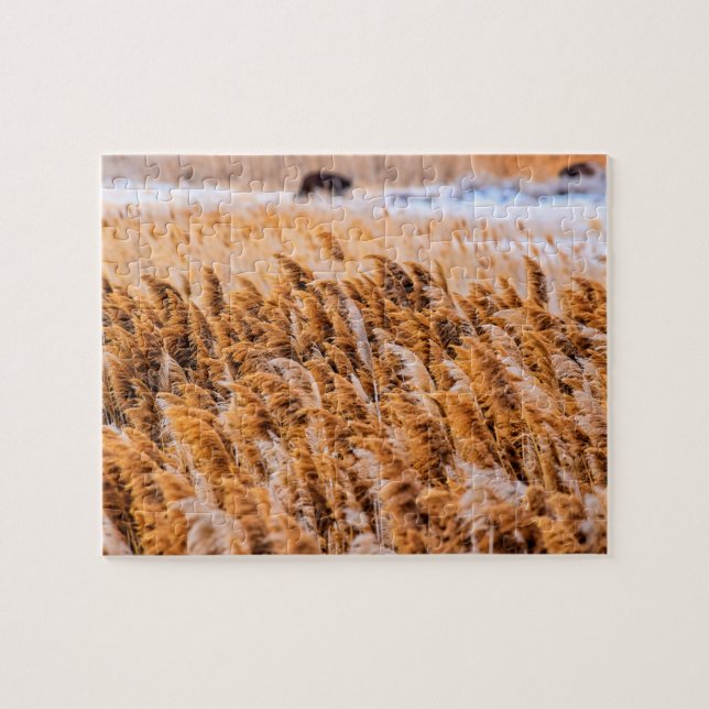 Quebra-cabeça Reeds of Antelope Island, Utah - 8x10 - 110 pcs. (Horizontal)