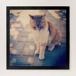 Quebra-cabeça Reflexão