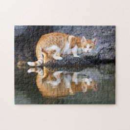 Quebra-cabeça Reflexão Gato em Água de Pond, Jogo